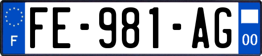 FE-981-AG