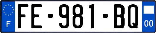 FE-981-BQ