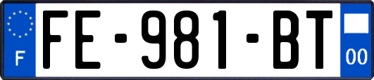 FE-981-BT