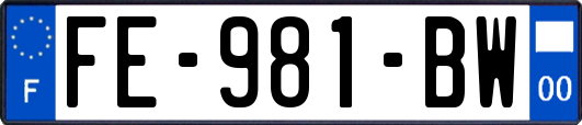 FE-981-BW