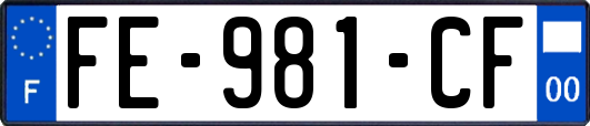 FE-981-CF