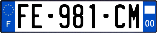 FE-981-CM