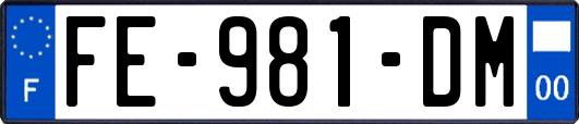 FE-981-DM