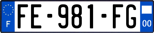 FE-981-FG