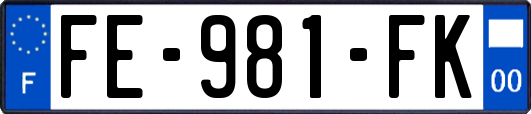 FE-981-FK