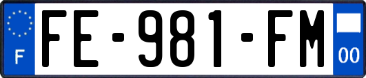 FE-981-FM