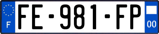 FE-981-FP