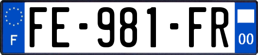 FE-981-FR