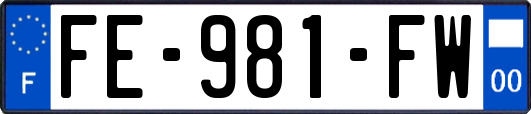 FE-981-FW