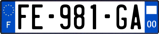 FE-981-GA
