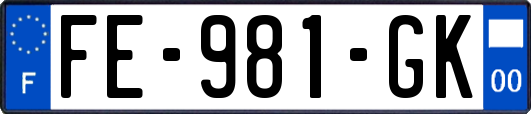 FE-981-GK