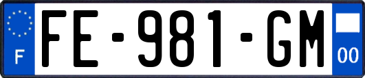 FE-981-GM