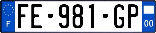 FE-981-GP