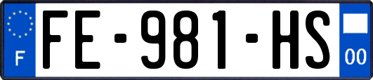 FE-981-HS