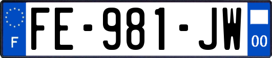 FE-981-JW