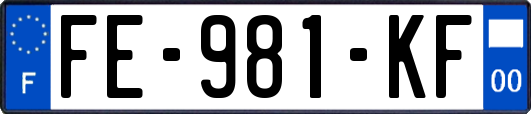 FE-981-KF