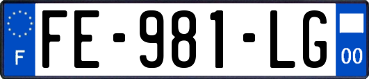 FE-981-LG