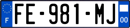 FE-981-MJ