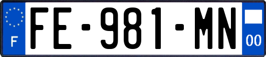 FE-981-MN