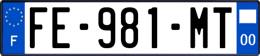 FE-981-MT