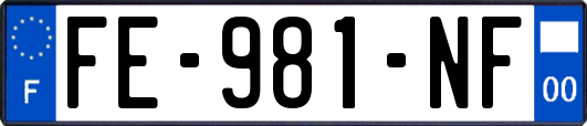 FE-981-NF