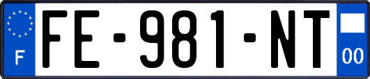 FE-981-NT