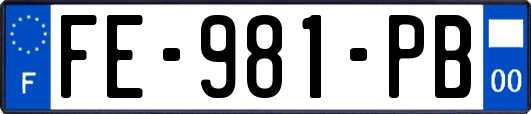 FE-981-PB