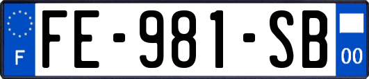 FE-981-SB