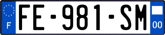 FE-981-SM