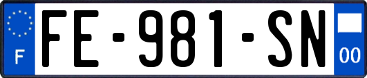 FE-981-SN