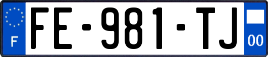 FE-981-TJ