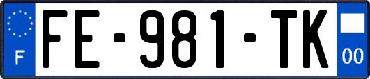 FE-981-TK