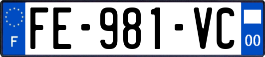 FE-981-VC