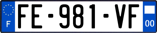 FE-981-VF