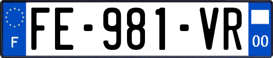 FE-981-VR