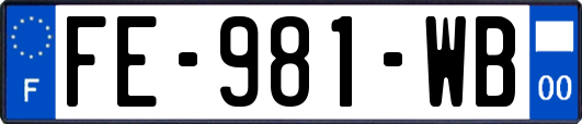 FE-981-WB
