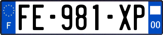 FE-981-XP