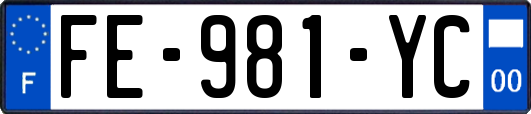 FE-981-YC