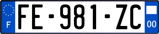 FE-981-ZC