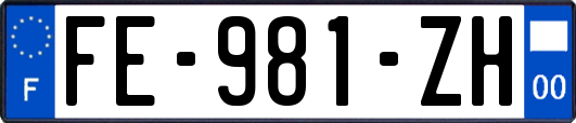 FE-981-ZH