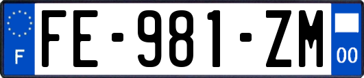 FE-981-ZM
