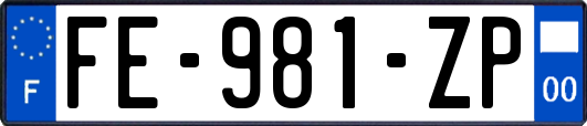 FE-981-ZP