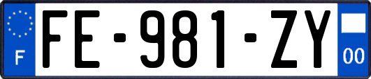 FE-981-ZY