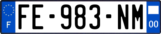 FE-983-NM