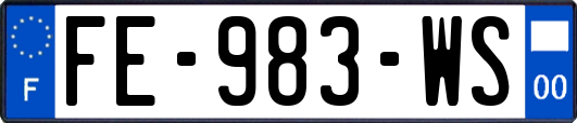 FE-983-WS