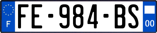 FE-984-BS