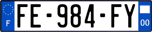 FE-984-FY