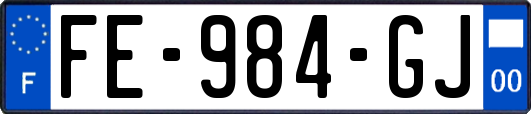 FE-984-GJ