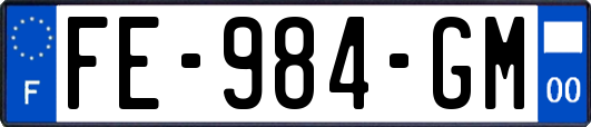 FE-984-GM