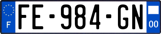 FE-984-GN